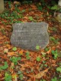 image of grave number 363222